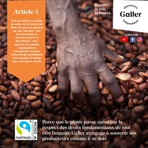 Galler campagne